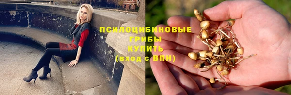 mdpv Магадан