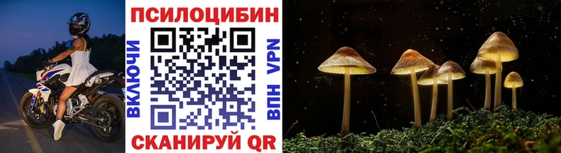 как найти наркотики  Лобня  Галлюциногенные грибы Cubensis 