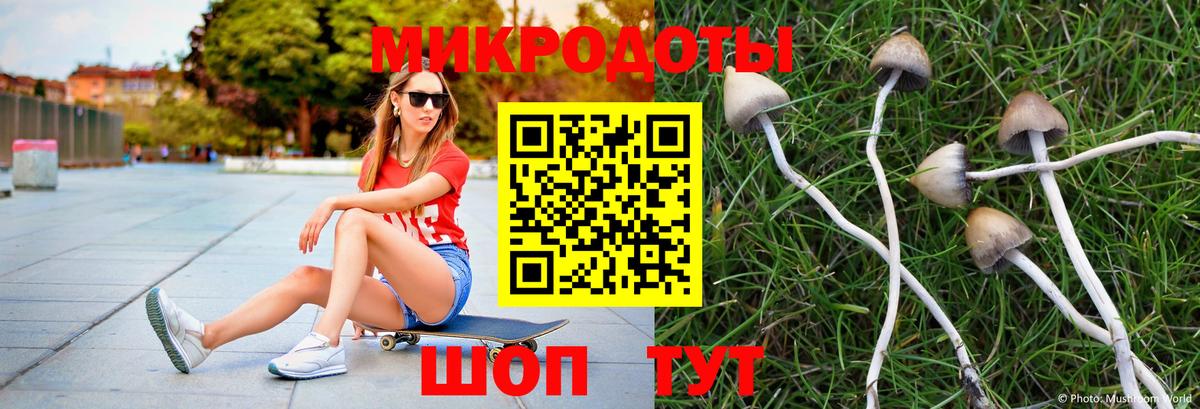 Галлюциногенные грибы Psilocybine cubensis  Вход с VPN  Лобня 