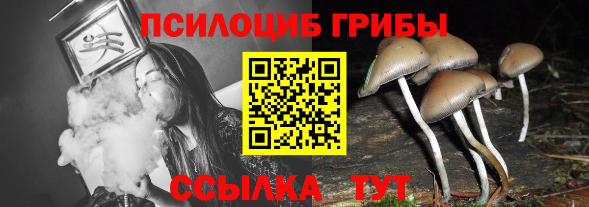 Галлюциногенные грибы мицелий Лобня